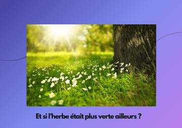 Bilan de compétences Bilan de compétences